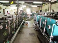 olive oil production company - 1