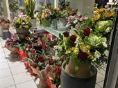 florist business for sale